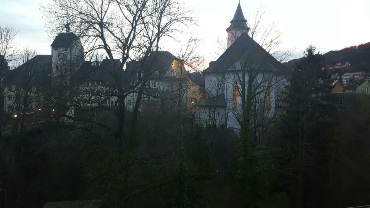 Waldshut Suite In Zentrum المظهر الخارجي الصورة